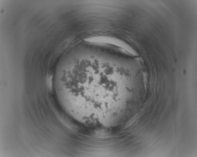 X0000061740070200512231511