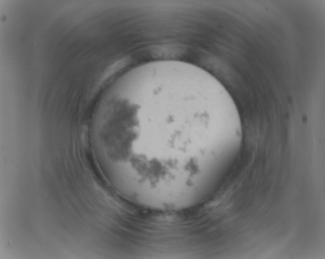 X0000061740071200512231511