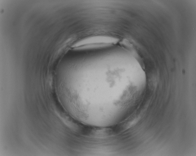 X0000061740072200512231511