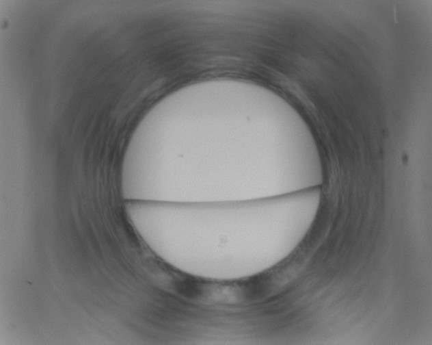 X0000061740073200512231511