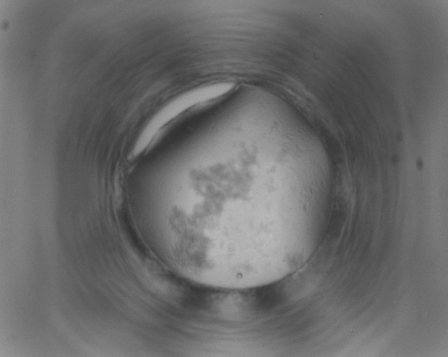 X0000061740074200512231511