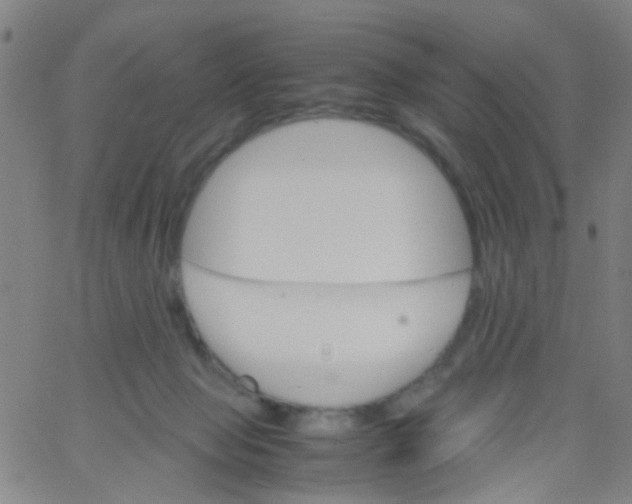 X0000061740077200512231511