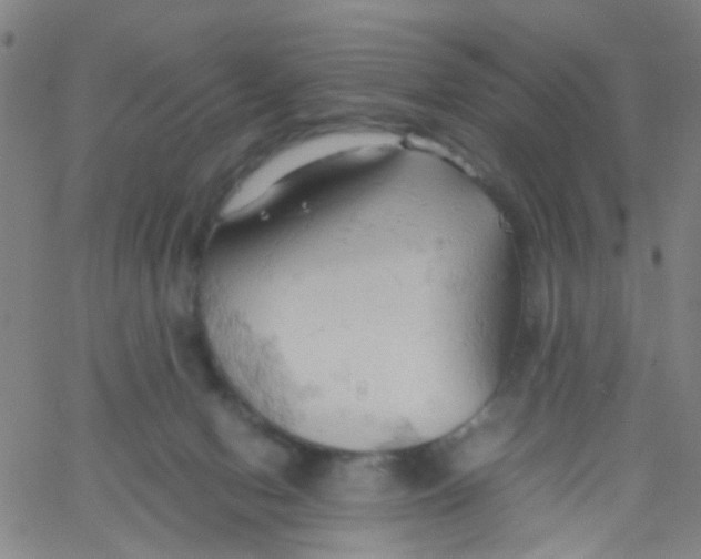 X0000061740078200512231511