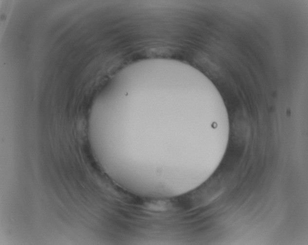 X0000061740079200512231511