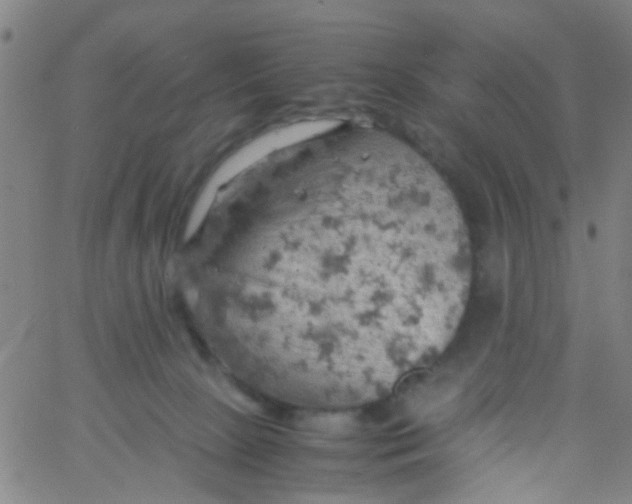 X0000061740081200512231511