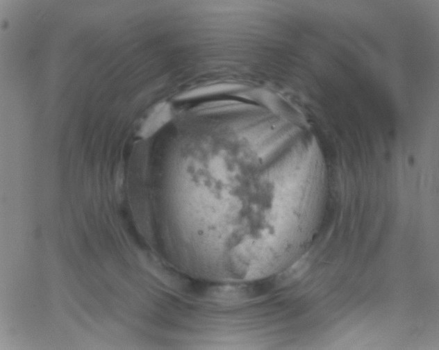 X0000061740082200512231511