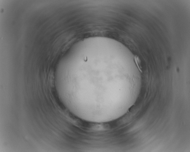 X0000061740083200512231511