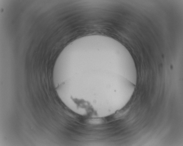 X0000061740085200512231511