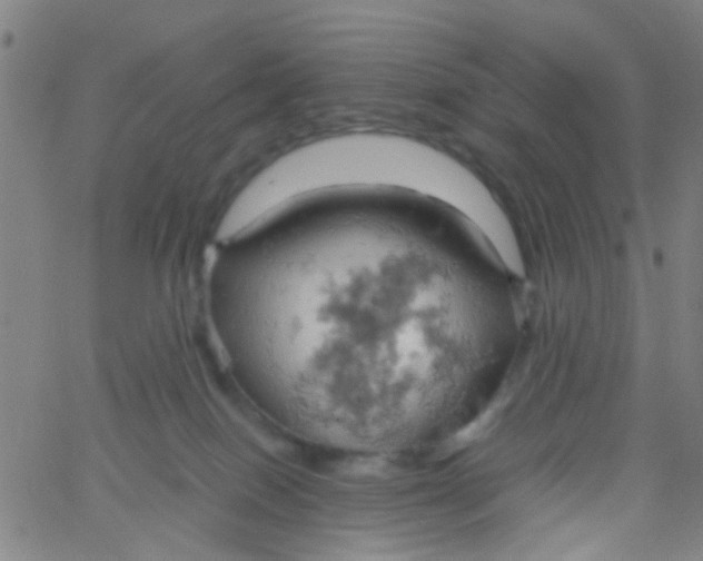 X0000061740086200512231511