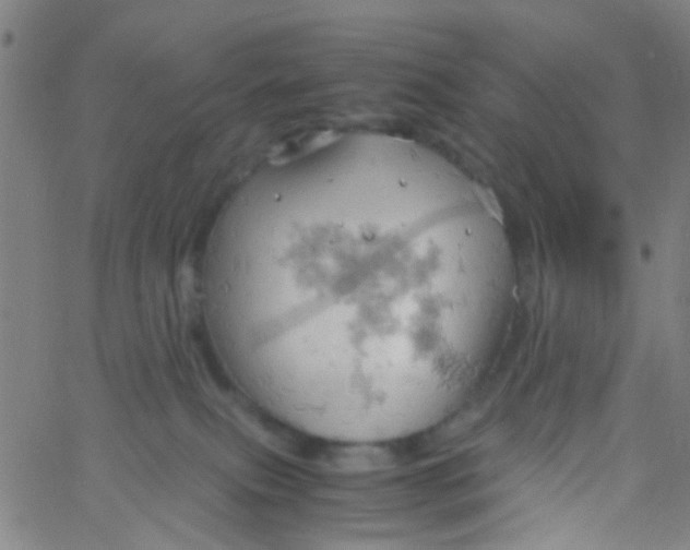 X0000061740087200512231511