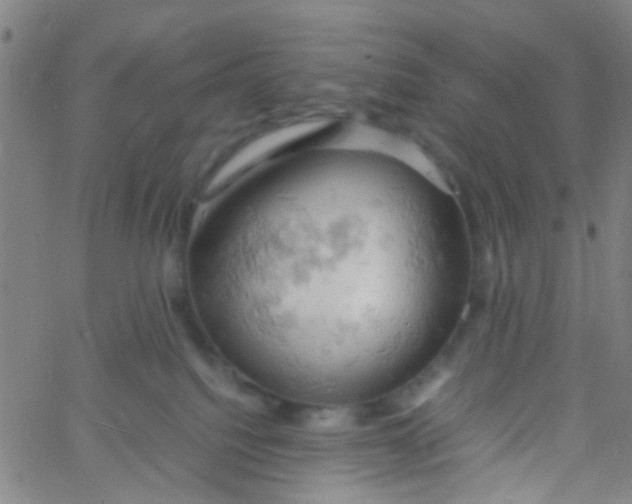 X0000061740088200512231511