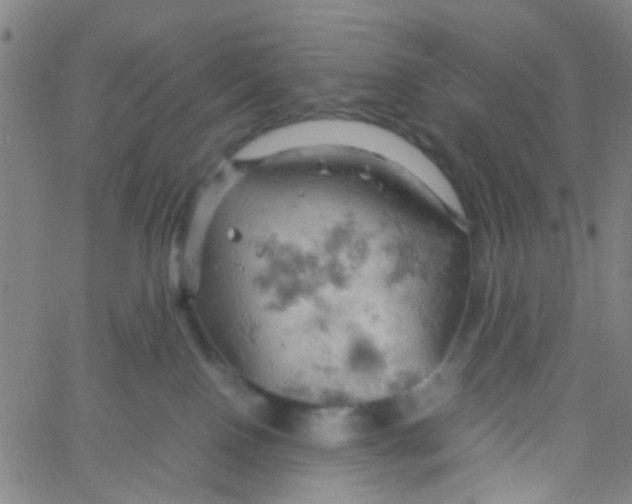 X0000061740090200512231511