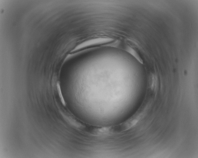 X0000061740092200512231511