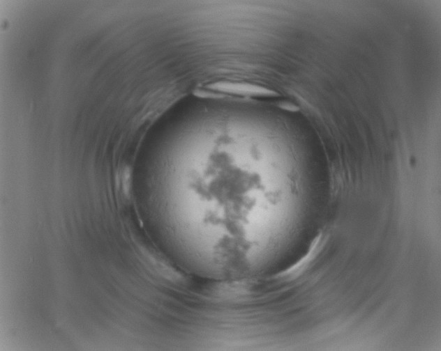 X0000061740094200512231511