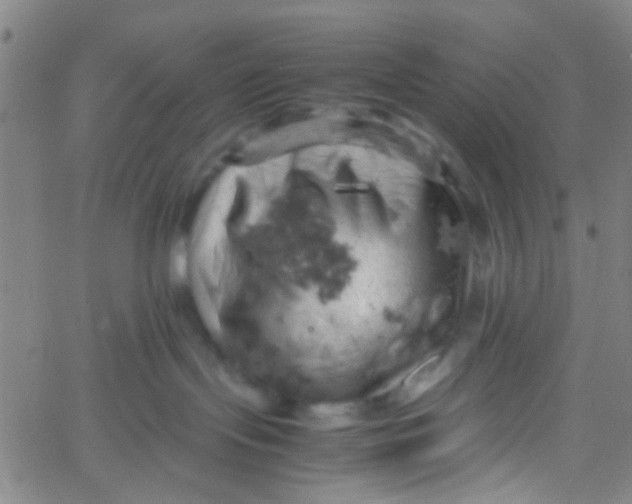 X0000061740095200512231511