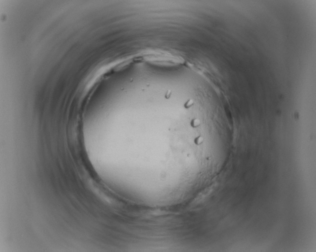 X0000061740098200512231510