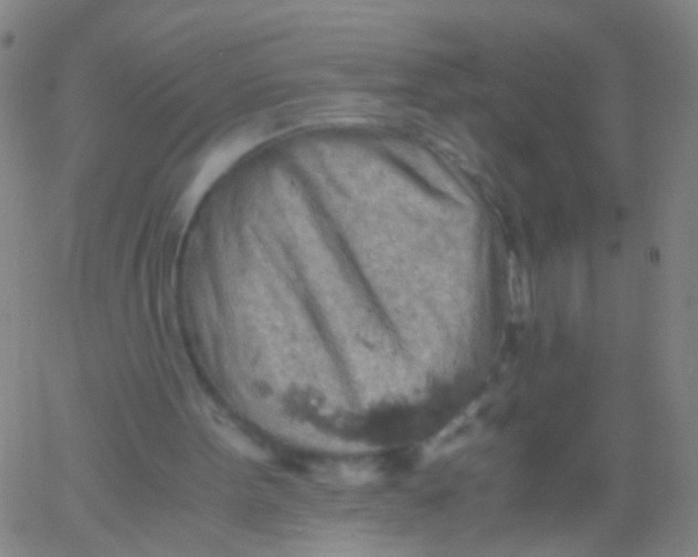 X0000061740099200512231510