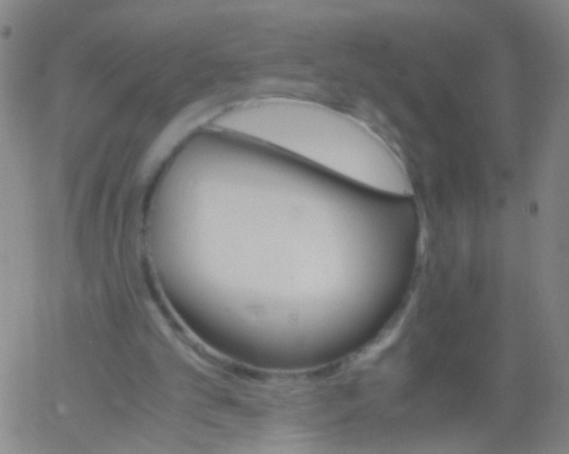 X0000061740101200512231510