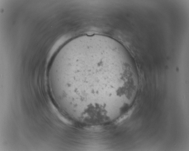 X0000061740102200512231510