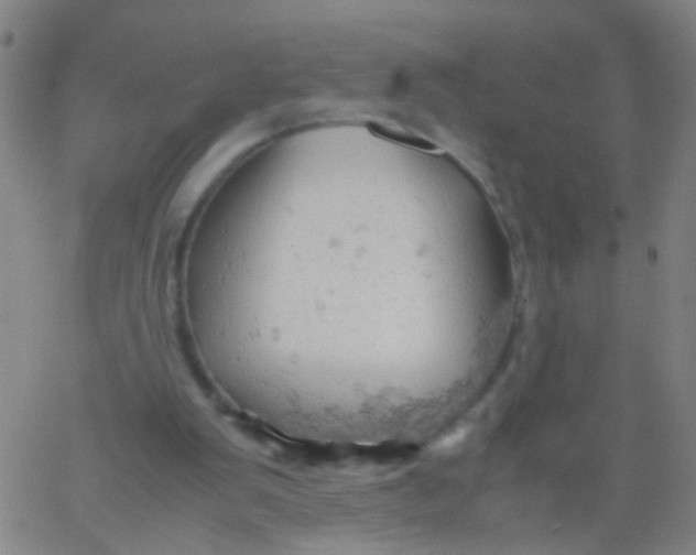 X0000061740103200512231510