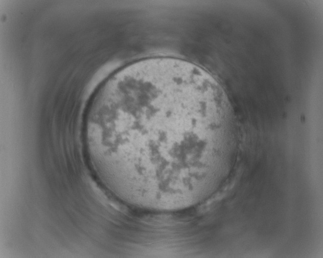 X0000061740104200512231510