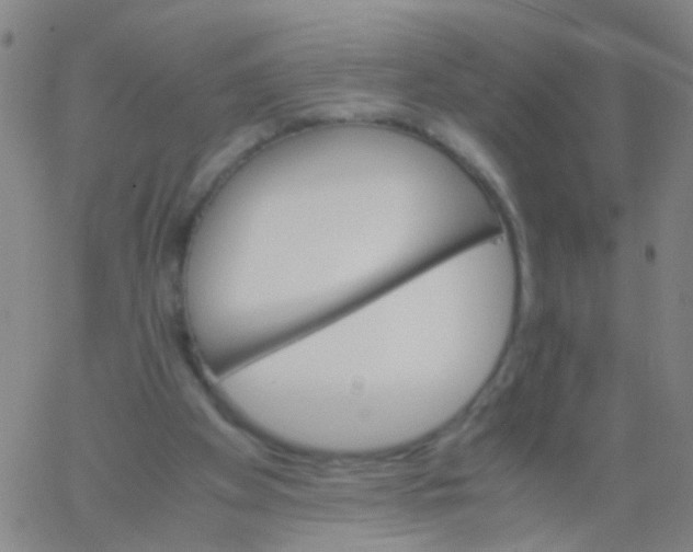 X0000061740105200512231510