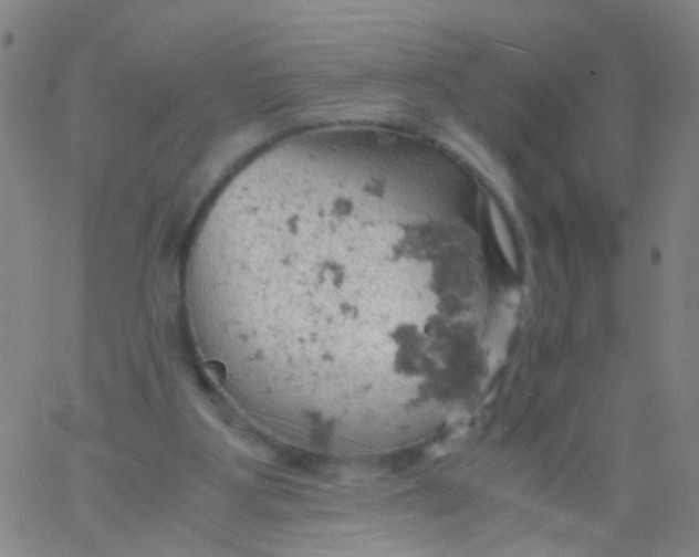 X0000061740107200512231510