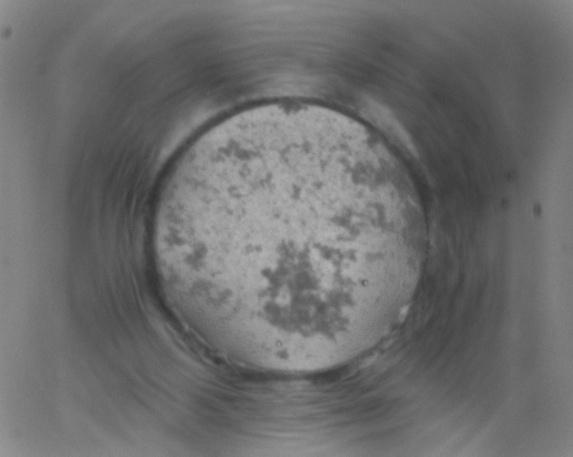 X0000061740108200512231510