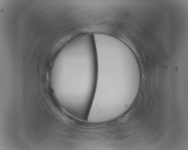 X0000061740109200512231510