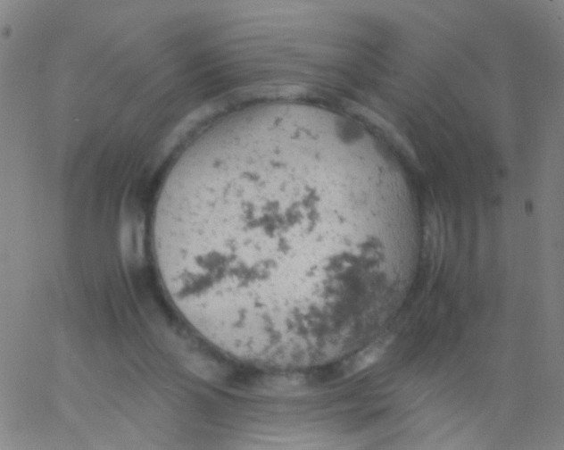 X0000061740110200512231510