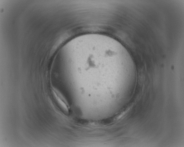 X0000061740111200512231510