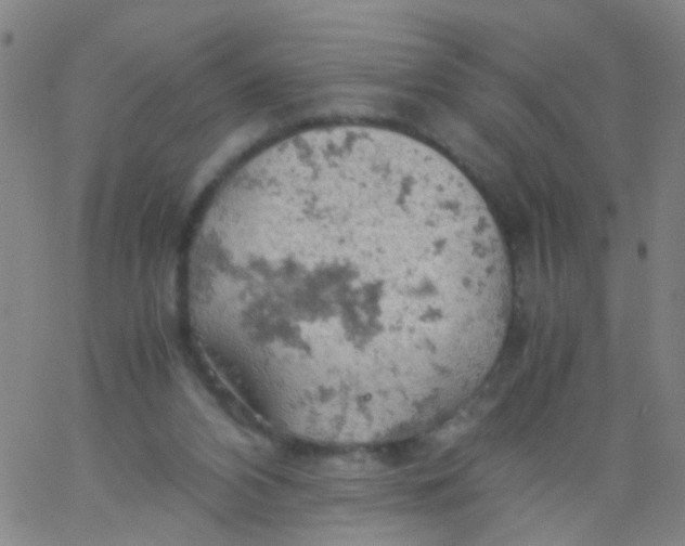 X0000061740112200512231510