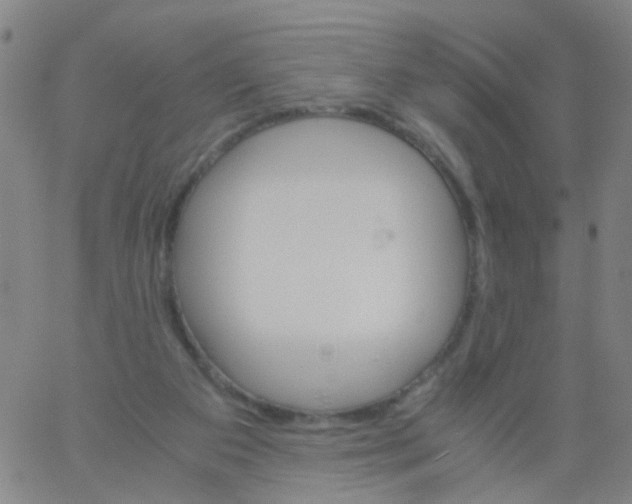 X0000061740113200512231510