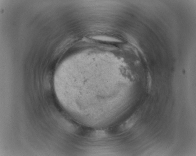 X0000061740114200512231510