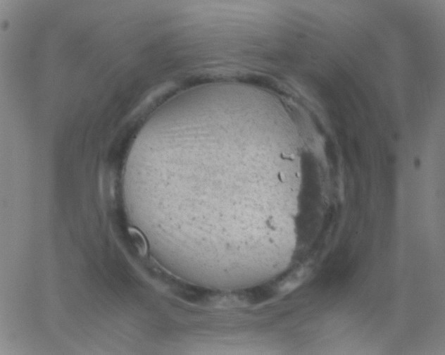 X0000061740115200512231510