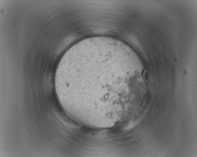 X0000061740116200512231510