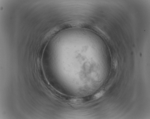 X0000061740117200512231510