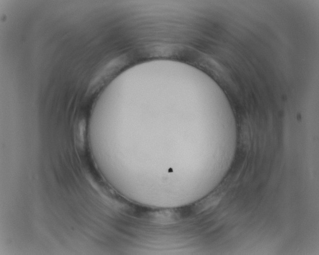 X0000061740118200512231510