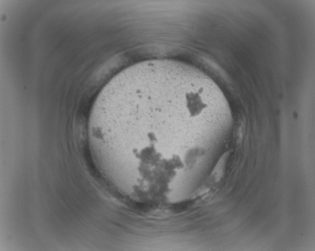 X0000061740119200512231510