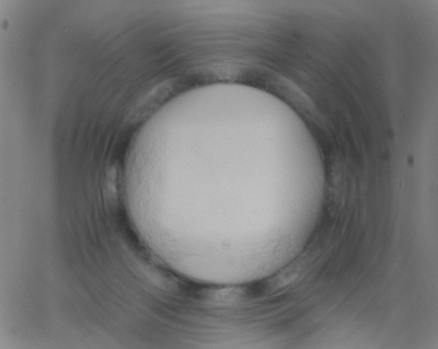 X0000061740122200512231510