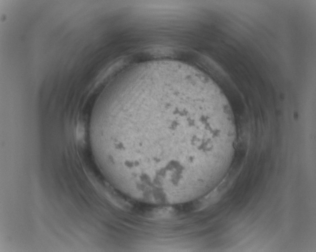 X0000061740124200512231510