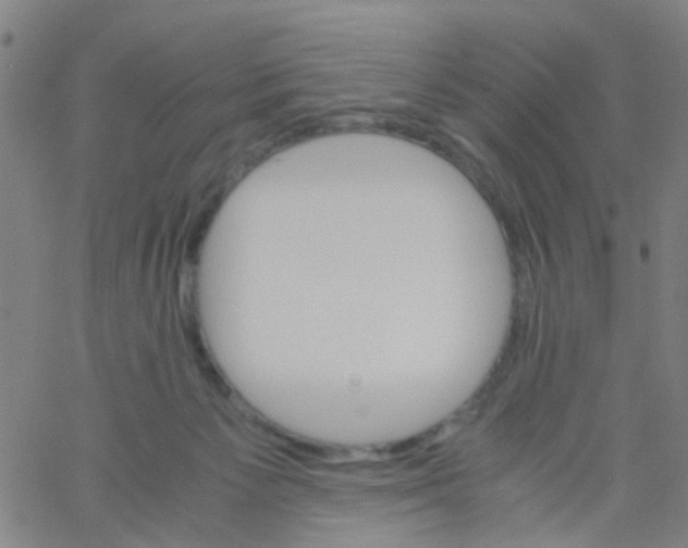 X0000061740125200512231510