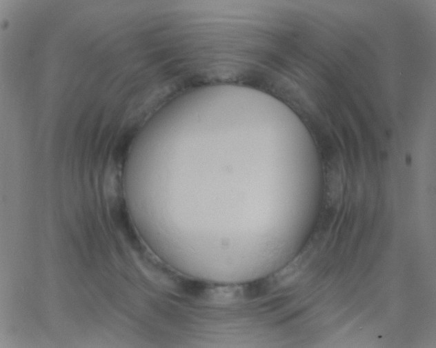 X0000061740126200512231510