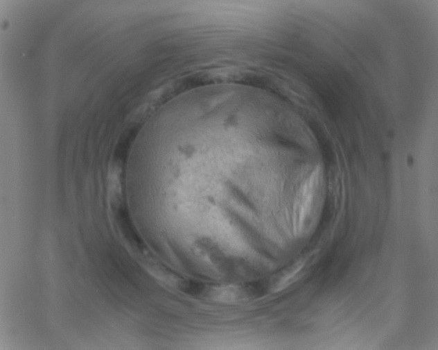 X0000061740127200512231510