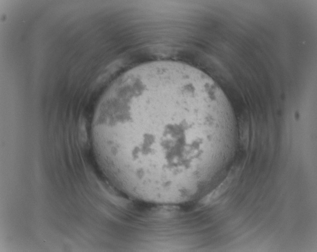 X0000061740128200512231510