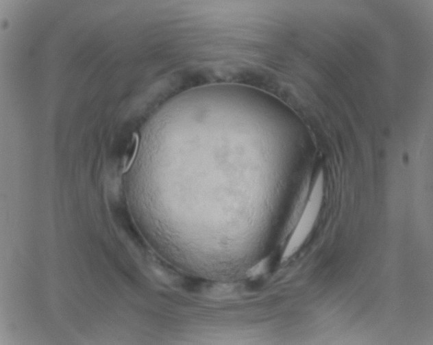 X0000061740129200512231510