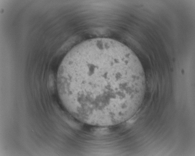 X0000061740132200512231510