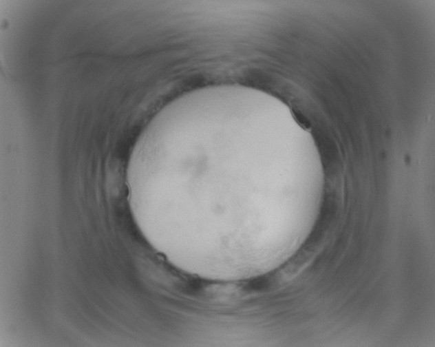 X0000061740133200512231510