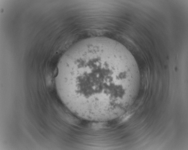 X0000061740134200512231510