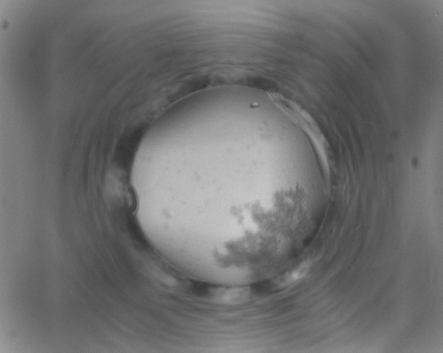 X0000061740135200512231510